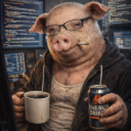 domik1337